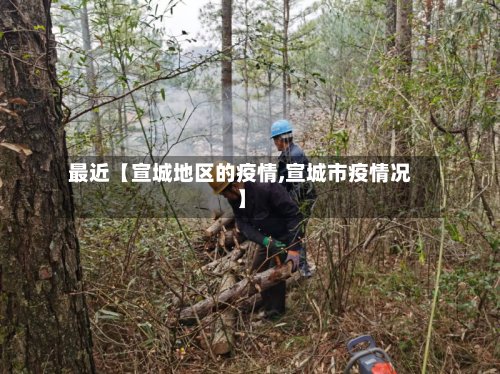 最近【宣城地区的疫情,宣城市疫情况】