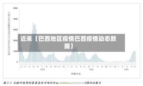 近来【巴西地区疫情巴西疫情动态数据】-第3张图片