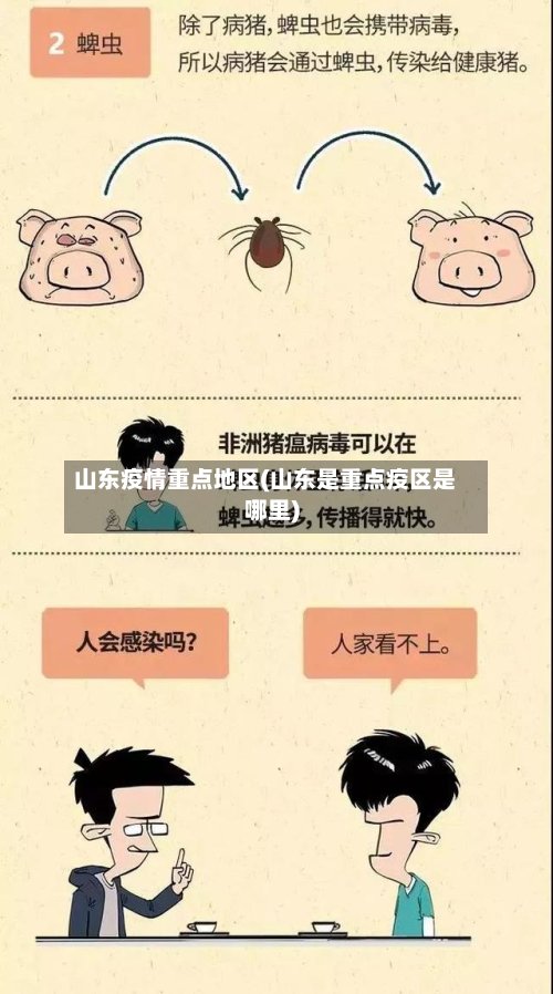 山东疫情重点地区(山东是重点疫区是哪里)