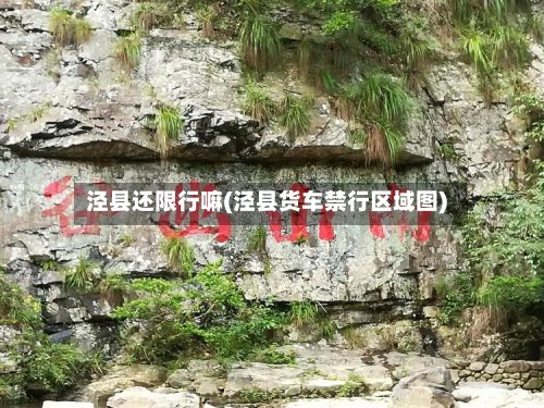 泾县还限行嘛(泾县货车禁行区域图)-第2张图片