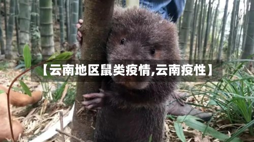 【云南地区鼠类疫情,云南疫性】-第3张图片
