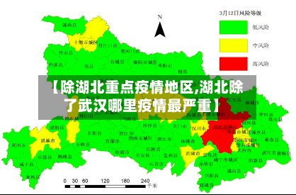 【除湖北重点疫情地区,湖北除了武汉哪里疫情最严重】-第2张图片