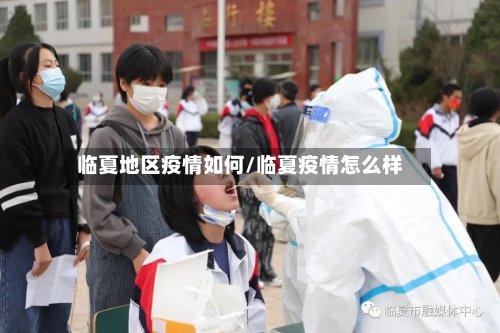 临夏地区疫情如何/临夏疫情怎么样-第3张图片