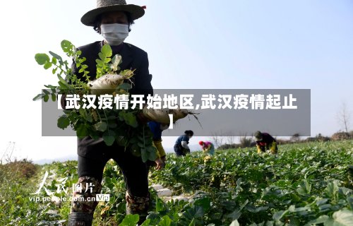 【武汉疫情开始地区,武汉疫情起止】