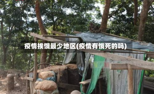 疫情挨饿最少地区(疫情有饿死的吗)