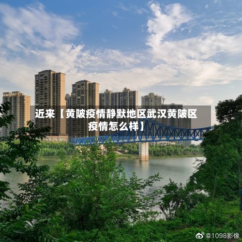 近来【黄陂疫情静默地区武汉黄陂区疫情怎么样】