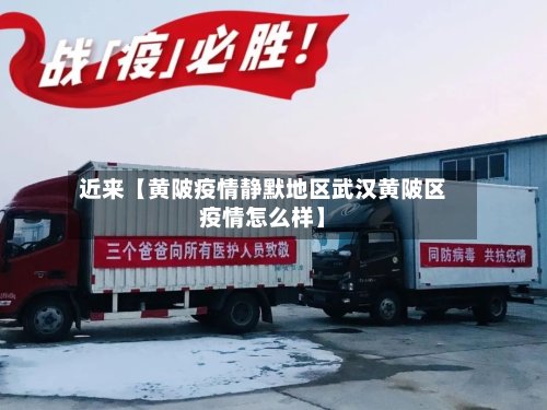近来【黄陂疫情静默地区武汉黄陂区疫情怎么样】-第2张图片