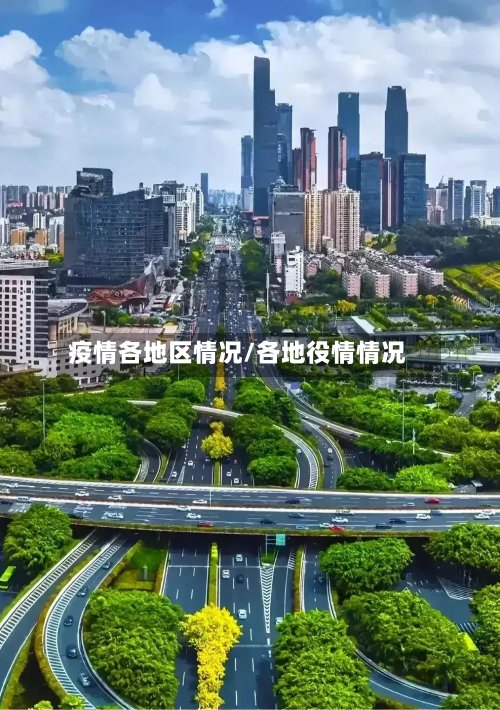 疫情各地区情况/各地役情情况