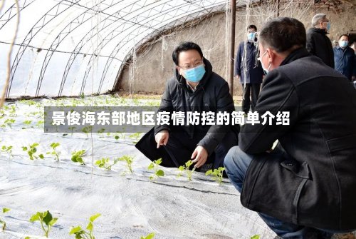 景俊海东部地区疫情防控的简单介绍-第3张图片