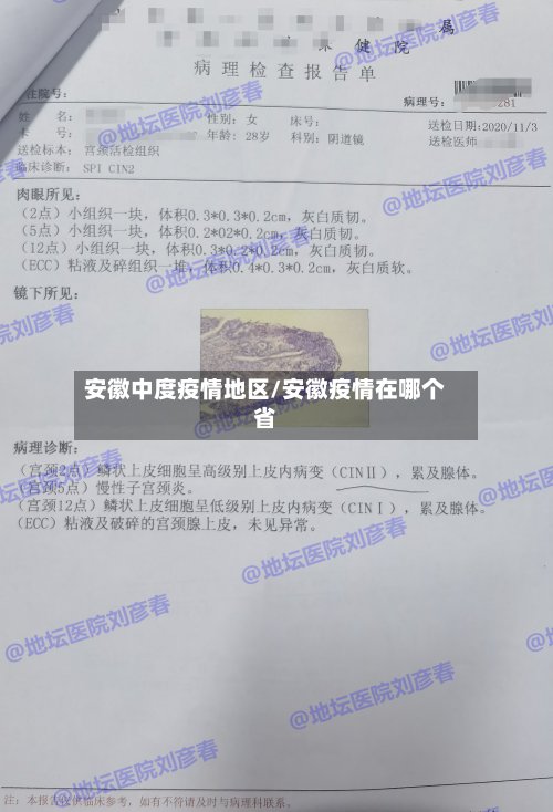 安徽中度疫情地区/安徽疫情在哪个省-第2张图片