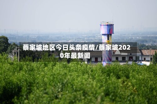 蔡家坡地区今日头条疫情/蔡家坡2020年最新闻