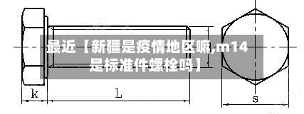 最近【新疆是疫情地区嘛,m14是标准件螺栓吗】-第3张图片