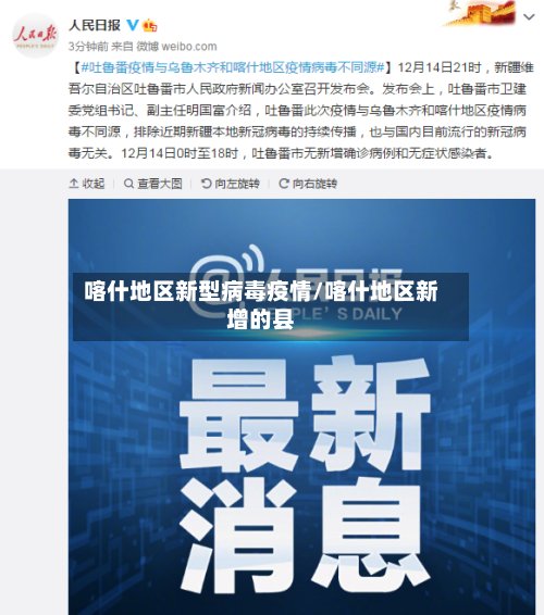 喀什地区新型病毒疫情/喀什地区新增的县
