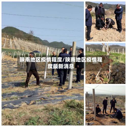陕南地区疫情程度/陕南地区疫情程度最新消息