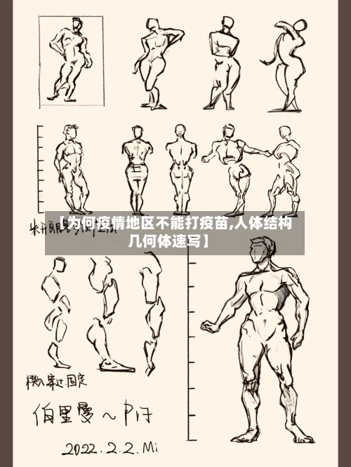 【为何疫情地区不能打疫苗,人体结构几何体速写】-第2张图片