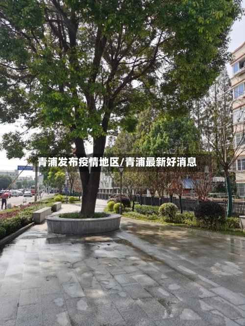 青浦发布疫情地区/青浦最新好消息-第3张图片