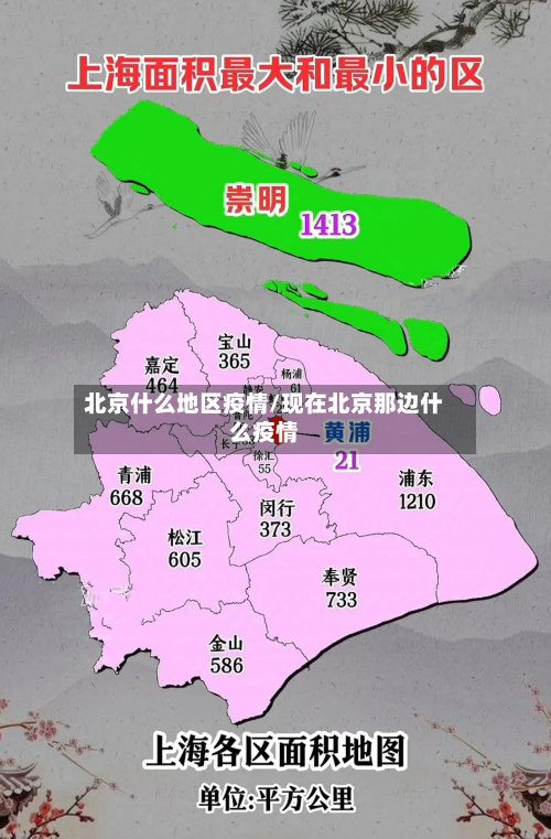 北京什么地区疫情/现在北京那边什么疫情-第2张图片