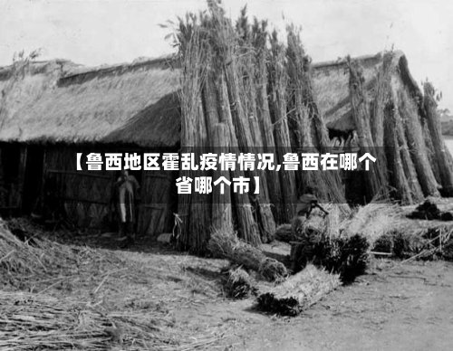 【鲁西地区霍乱疫情情况,鲁西在哪个省哪个市】