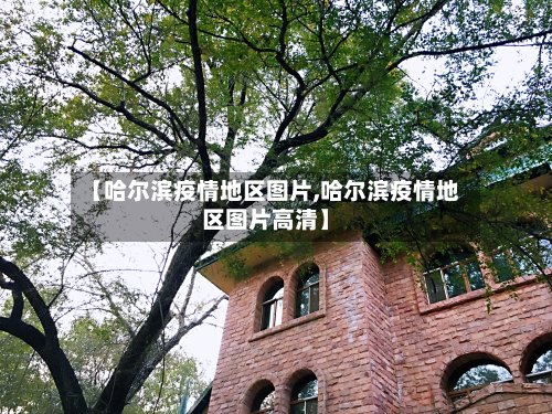 【哈尔滨疫情地区图片,哈尔滨疫情地区图片高清】-第2张图片