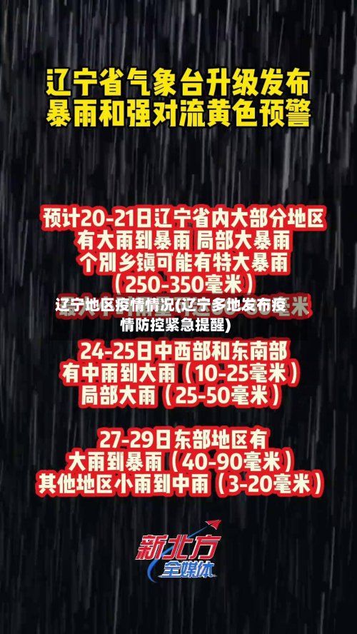 辽宁地区疫情情况(辽宁多地发布疫情防控紧急提醒)-第2张图片