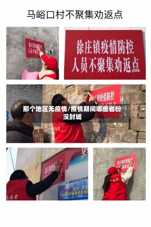 那个地区无疫情/疫情期间哪些省份没封城