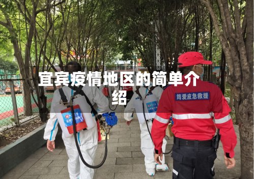 宜宾疫情地区的简单介绍-第2张图片