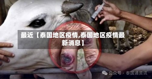 最近【泰国地区疫情,泰国地区疫情最新消息】-第2张图片