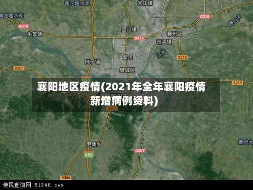 襄阳地区疫情(2021年全年襄阳疫情新增病例资料)-第3张图片