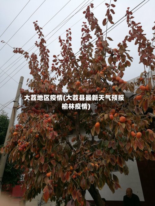 大荔地区疫情(大荔县最新天气预报榆林疫情)