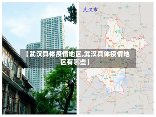 【武汉具体疫情地区,武汉具体疫情地区有哪些】-第2张图片