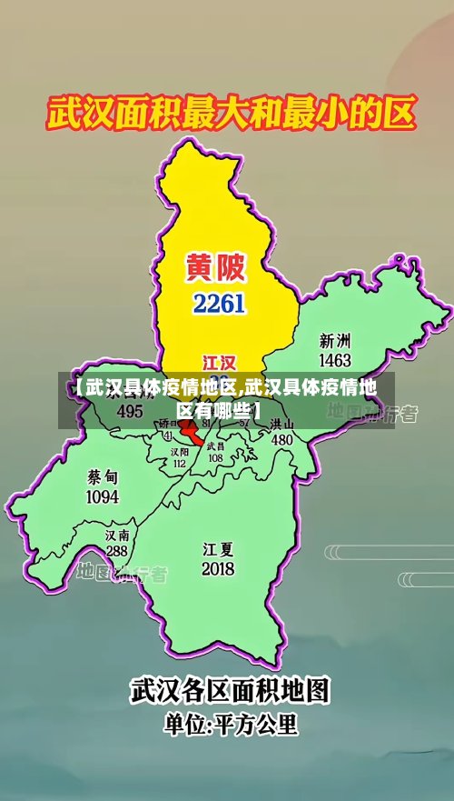 【武汉具体疫情地区,武汉具体疫情地区有哪些】-第3张图片