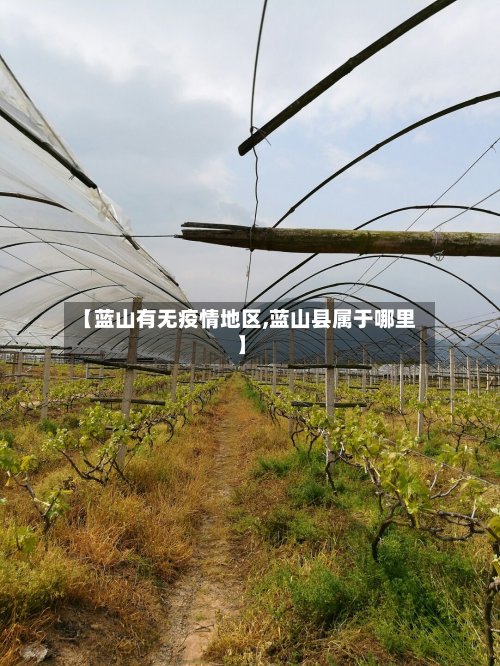 【蓝山有无疫情地区,蓝山县属于哪里】