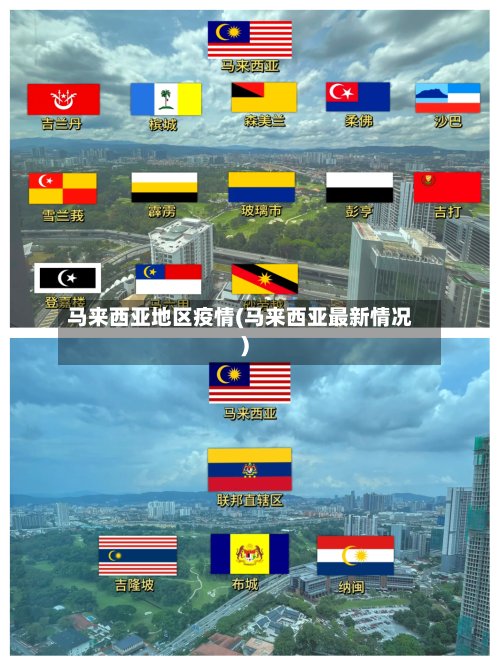 马来西亚地区疫情(马来西亚最新情况)-第2张图片