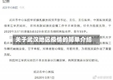 关于武汉地区疫情的简单介绍