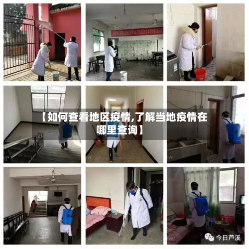 【如何查看地区疫情,了解当地疫情在哪里查询】-第2张图片