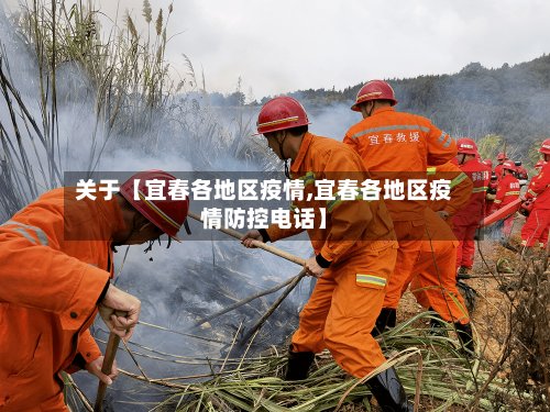关于【宜春各地区疫情,宜春各地区疫情防控电话】