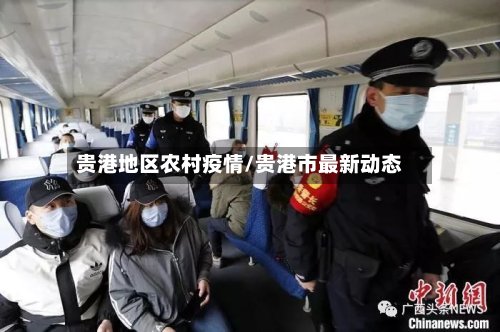 贵港地区农村疫情/贵港市最新动态