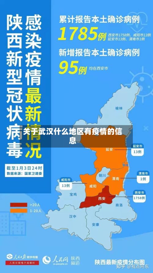 关于武汉什么地区有疫情的信息