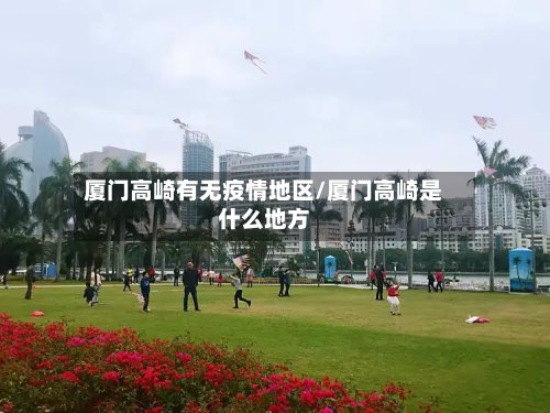 厦门高崎有无疫情地区/厦门高崎是什么地方