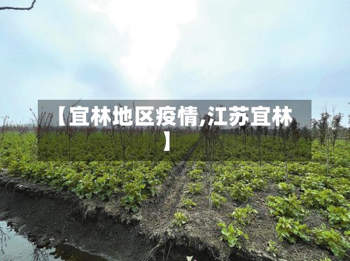 【宜林地区疫情,江苏宜林】-第2张图片