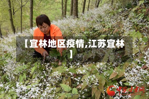 【宜林地区疫情,江苏宜林】-第3张图片