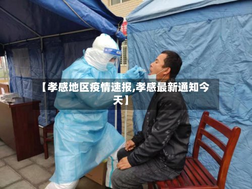 【孝感地区疫情速报,孝感最新通知今天】-第3张图片