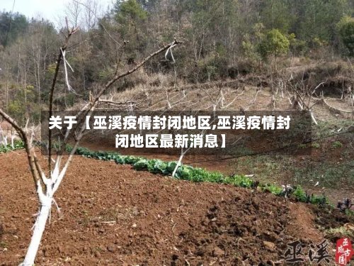 关于【巫溪疫情封闭地区,巫溪疫情封闭地区最新消息】-第3张图片