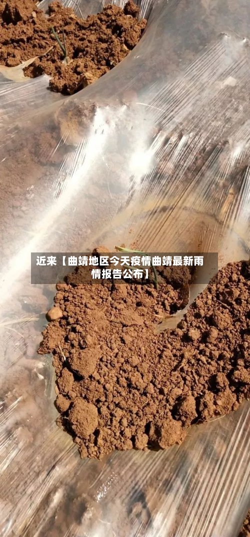 近来【曲靖地区今天疫情曲靖最新雨情报告公布】-第2张图片