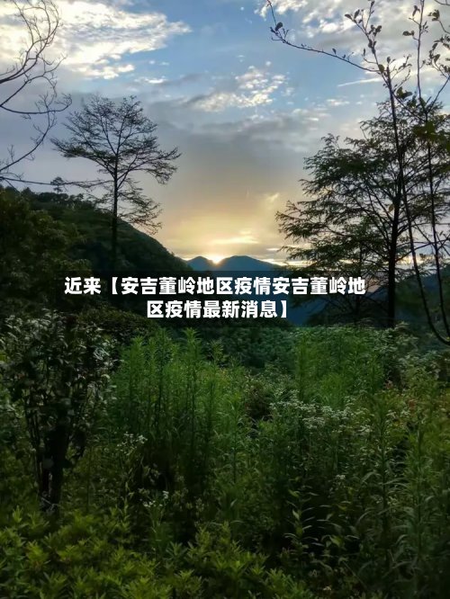 近来【安吉董岭地区疫情安吉董岭地区疫情最新消息】-第2张图片