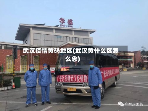 武汉疫情黄码地区(武汉黄什么区怎么念)-第2张图片