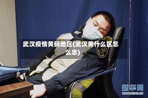 武汉疫情黄码地区(武汉黄什么区怎么念)