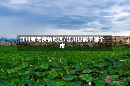 江川有无疫情地区/江川县属于哪个市