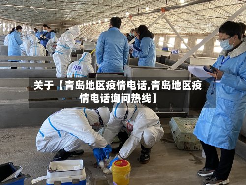 关于【青岛地区疫情电话,青岛地区疫情电话询问热线】