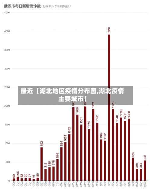 最近【湖北地区疫情分布图,湖北疫情主要城市】